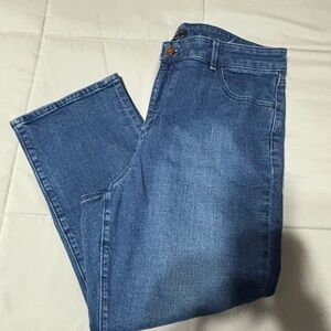 Ann Taylor Blue Cropped Jeans